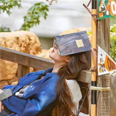 维克特利奥特曼格斗